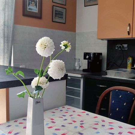 Apartman Ulehla Zlín Buitenkant foto
