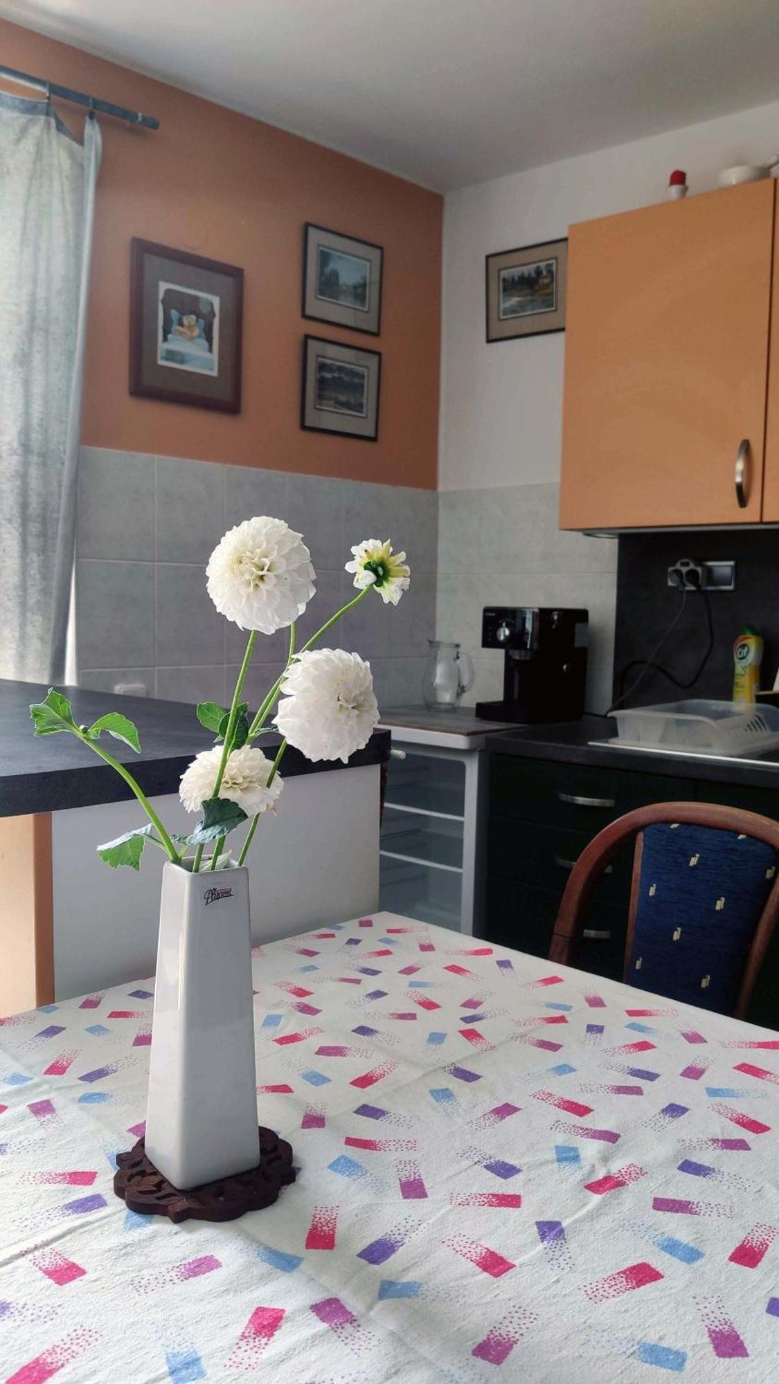 Apartman Ulehla Zlín Buitenkant foto
